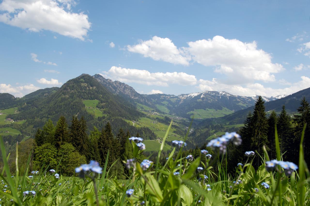Bergchalet Rauchenhof Райт  Экстерьер фото